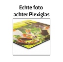 plexiglas kopie.jpg