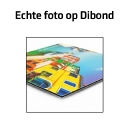 dibond kopie.jpg