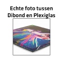 dibond en plexiglas kopie.jpg